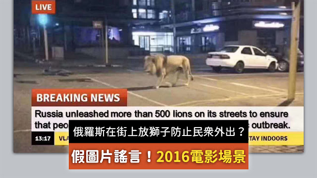 俄羅斯政府在街上放了800只獅子和老虎來防止民眾外出 謠言 假圖片