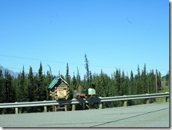 IMG_9067