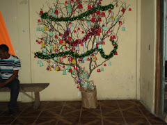 O luxo do sonho!!!