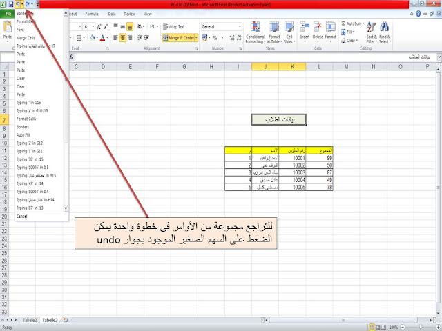 التراجع مجموعة خطوات, excel, undo