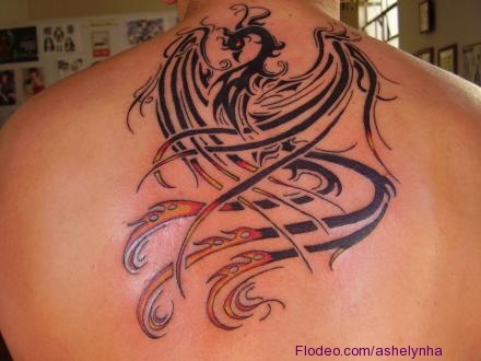 Tatuagens de f nix estilo tribal