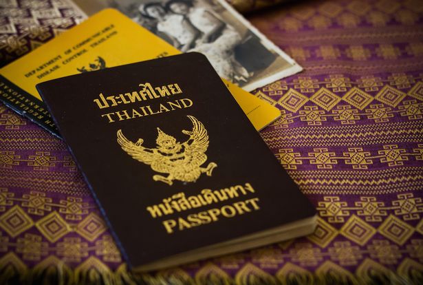 There are only FOUR passport colours in the world and each one means something different