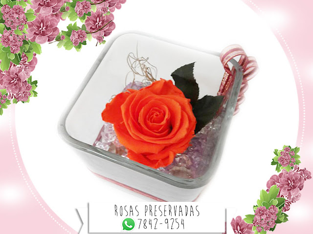 Centros de Mesa con Rosas Preservadas Arreglos Decoración Manualidades