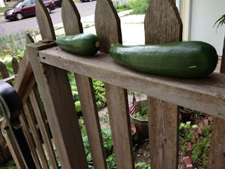 Two green zucchinis on a brown wood railing