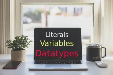 What are data types, variables, and literals in javascript?