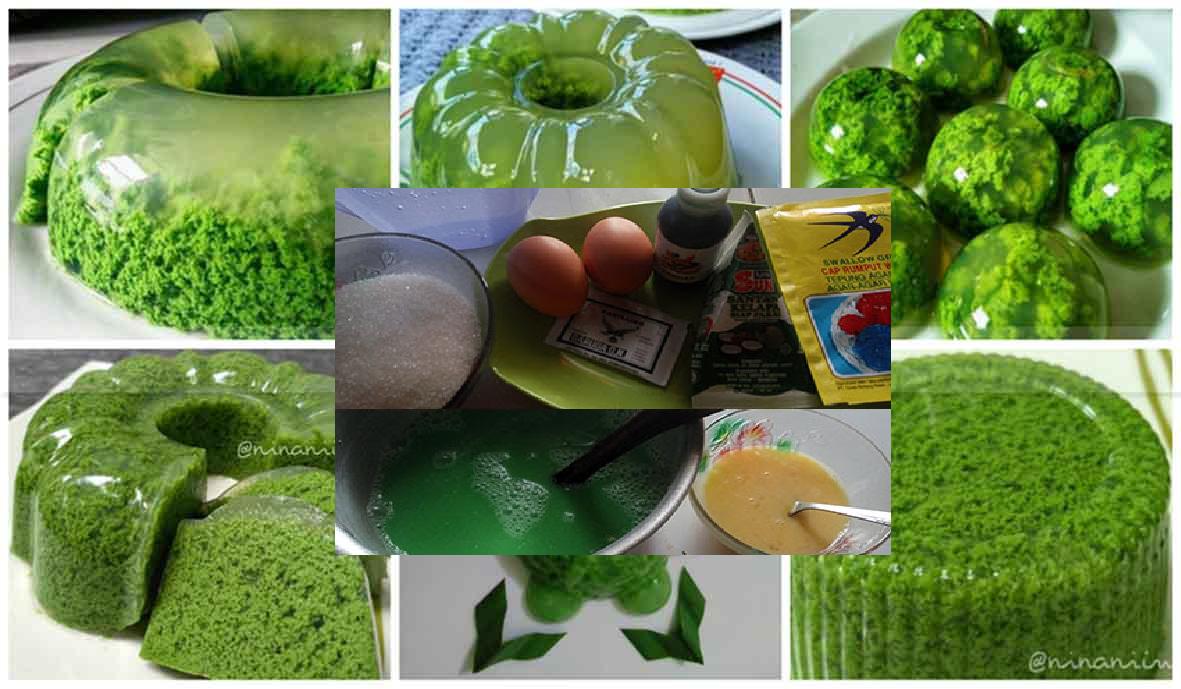  Resep  Puding  Lumut  Pandan Hijau Enak Hemat No Amis  Telur 
