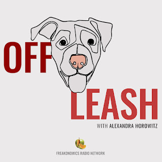 Graphic witth white background and the words Off Leash in red.