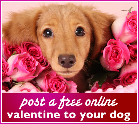 Online Valentines Day Cards, Online Valentine Gallery