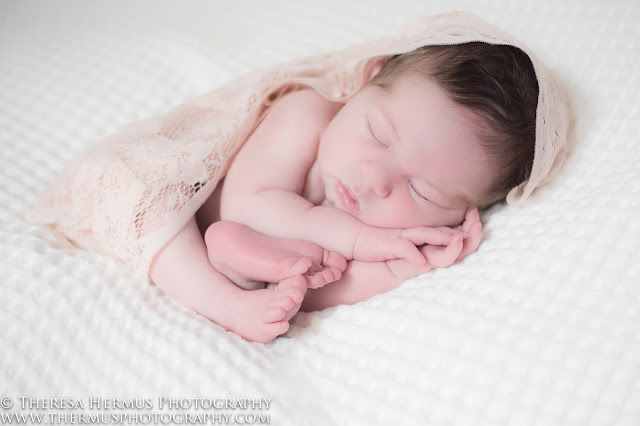 milwaukee newborn photographer, milwaukee baby photographer, milwaukee family photographer