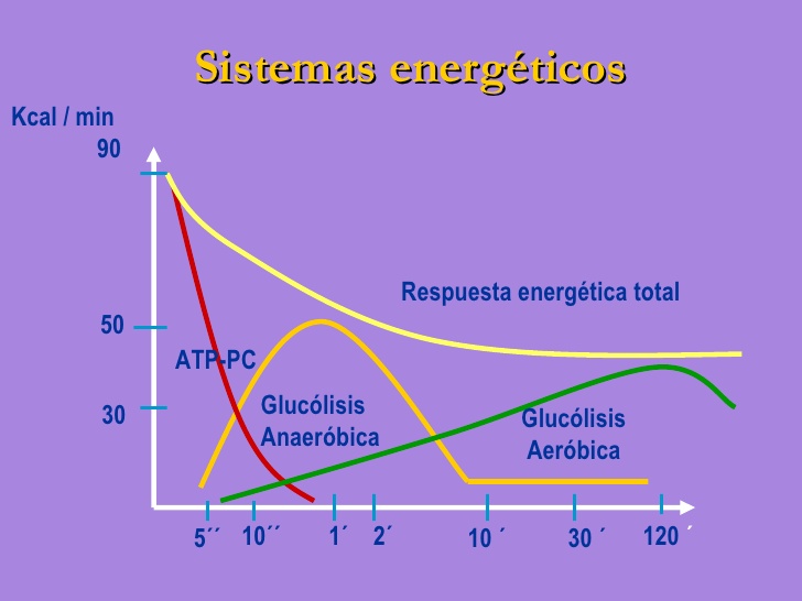 Resultado de imagen de continuum energético"