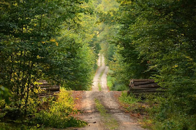 most haunted places in america,haunted place,haunted places in america,america haunted places,haunted,most haunted places