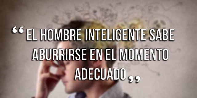 frases cortas de inteligencia