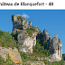 🕍 Château de Blanquefort - 48