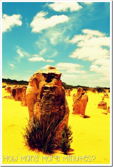 The Pinnacles: Nambug National Park | How Many More Minutes?