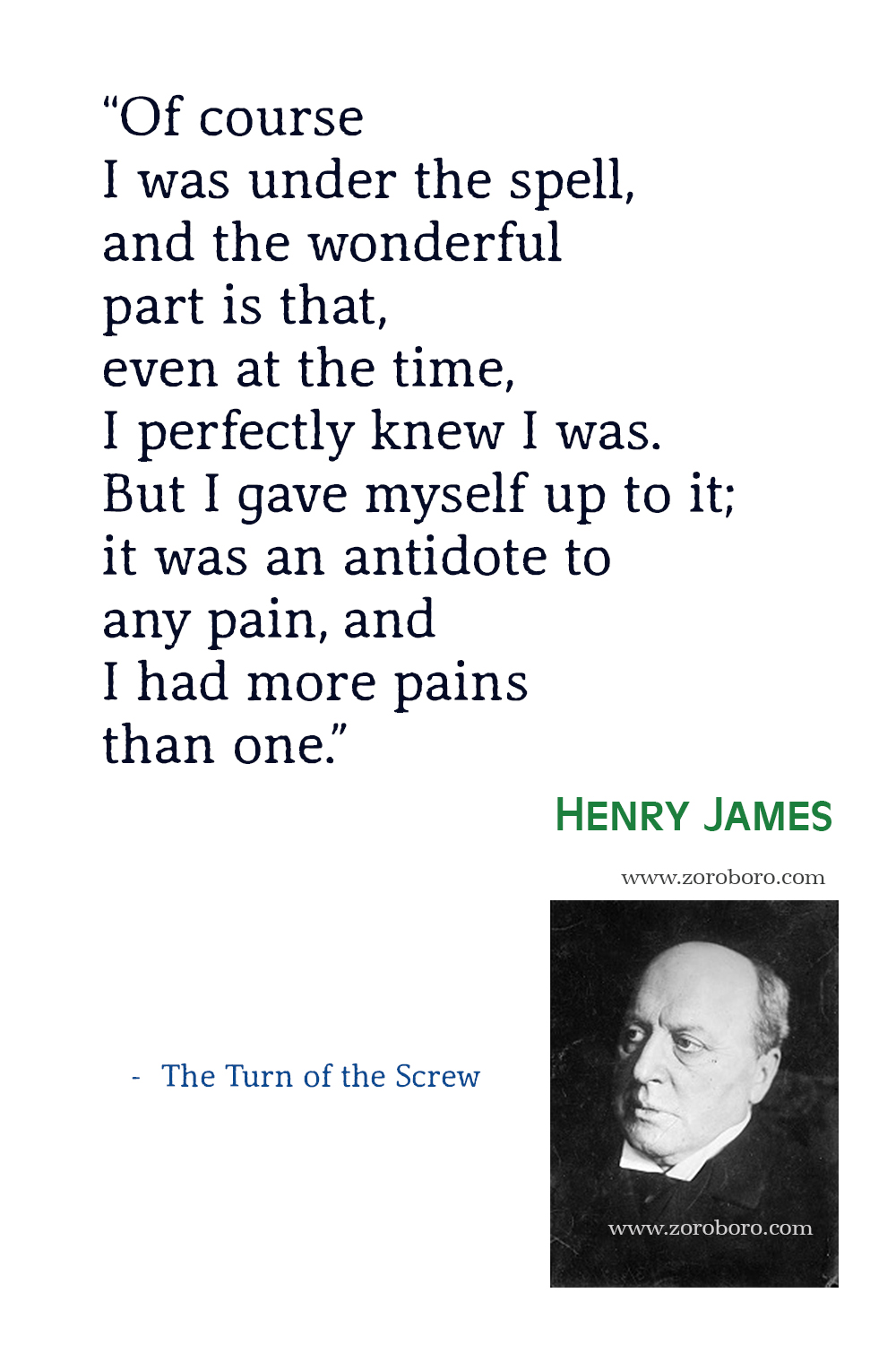 Henry James Quotes, Henry James The Portrait of a Lady Quotes, Henry James Books, Henry James Roderick Hudson Quotes. Henry James Short Stories.