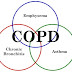 COPD ICD 9CM Codes: Exacerbation, Asthma, Bronchitis, Emphysema