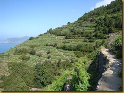 DSC01405