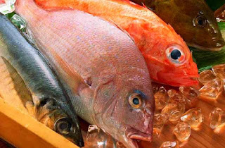 ciri-ikan-segar-berformalin.jpg