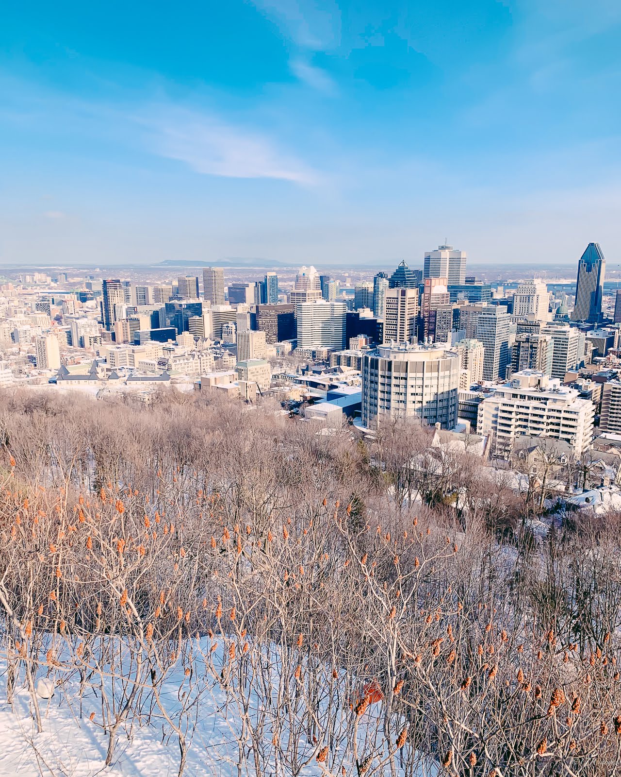 Mount Royal Lookout: Things To Do in Montreal, Quebec, Canada