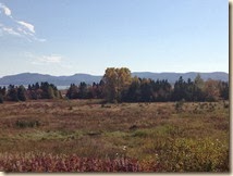IMG_0564
