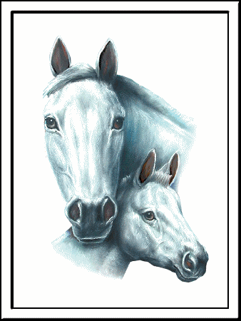 Gif de cavalo