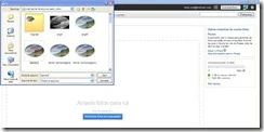 Imagem-lbuns da web do Picasa-selecionar