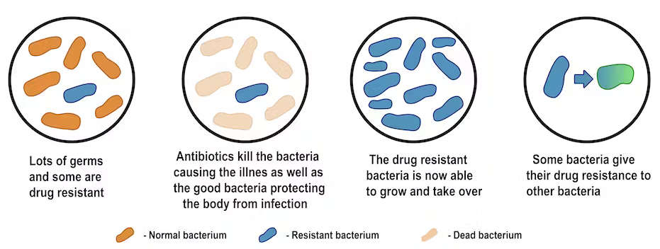 Antibiotic resistance