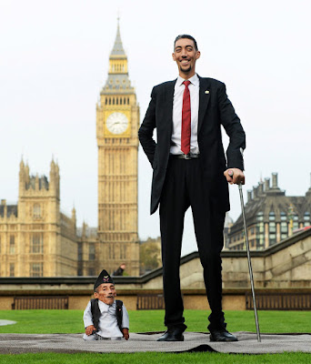 The Tallest Man on Earth, Sultan Kosen