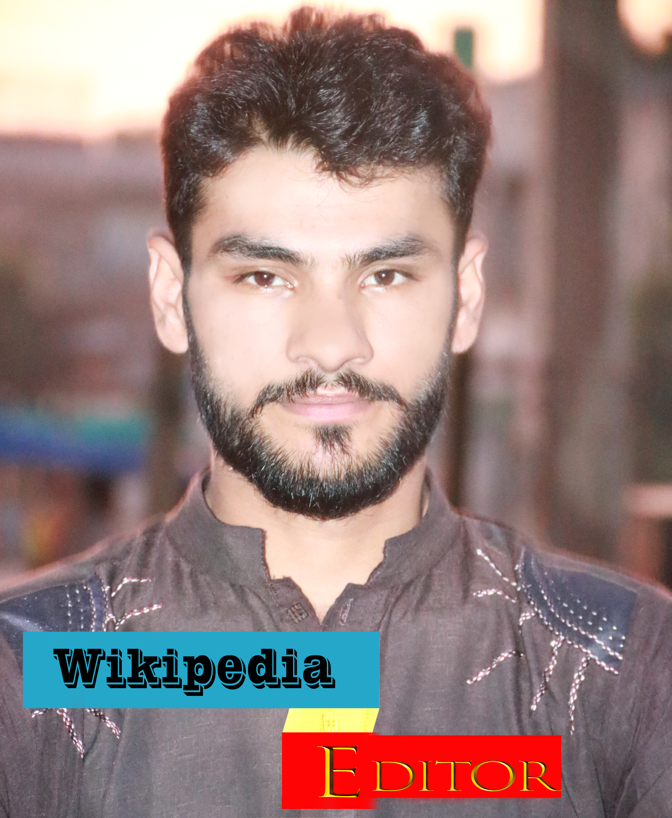 Wikipedia Editor Phalia