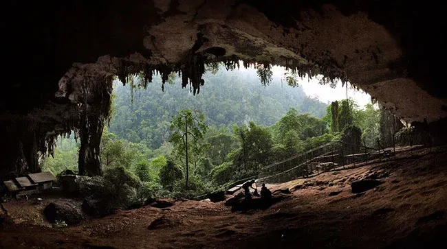 Niah Cave | Historical Tourism Destination