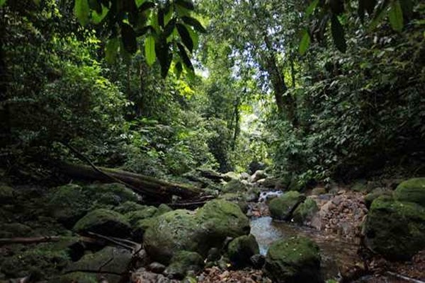 5 Gunung Indonesia Paling Berbahaya Untuk Didaki 