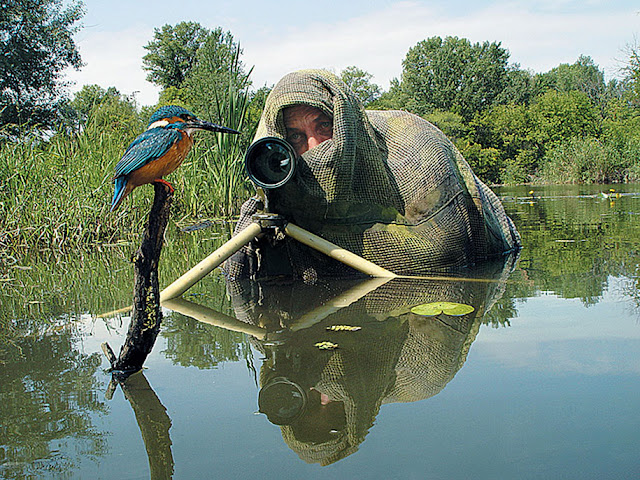 20 fotos mostram que fotografar a animais selvagens pode ser um dos melhores trabalhos do mundo