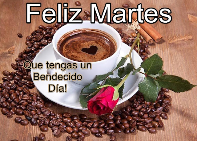 FELIZ MARTES ! Que tengas un Bendecido Día!