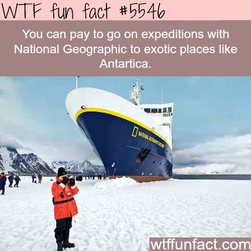 40 Amazing Random WTF Facts