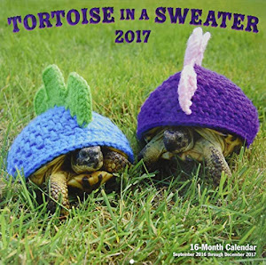 Tortoise in a Sweater 2017 calendar