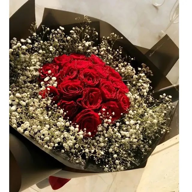 صور ورد جوري