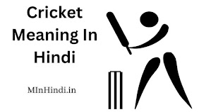 Cricket Meaning In Hindi