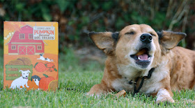 pumpkin flavored dog treats