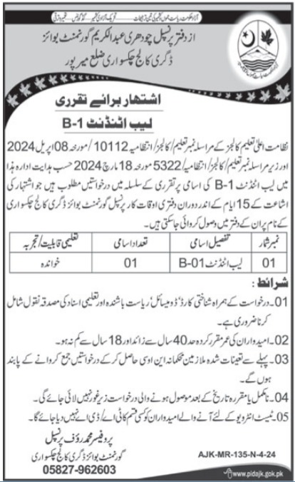 Government Boys Degree College Education Jobs In Mirpur 2024