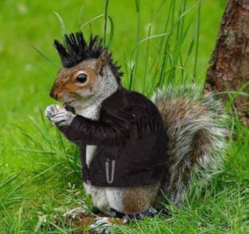 16 Baru Foto Gaya Rambut Anak Punk Indonesia 