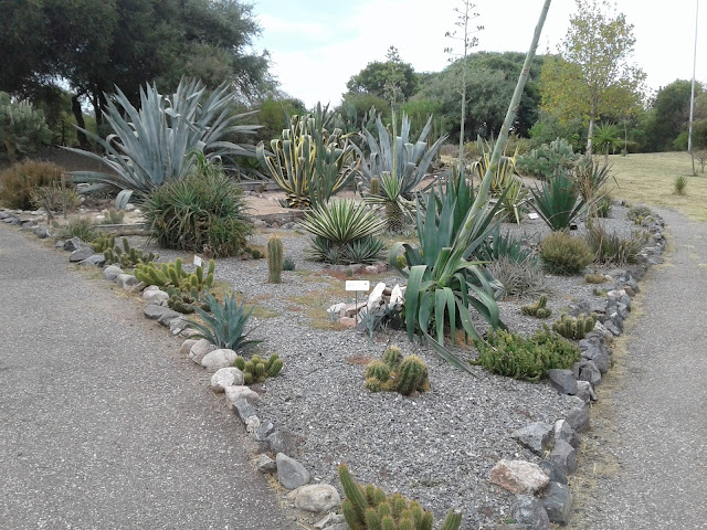 Jardin Botanico de Cordoba in Argentina