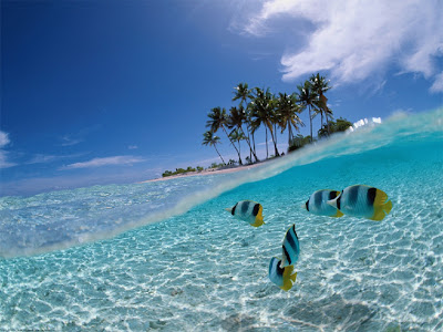 taman Laut Bunaken