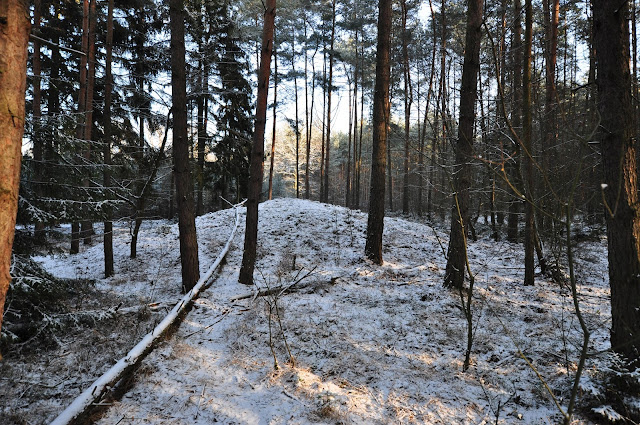 Wczesnośredniowieczne cmentarzysko kurhanowe Piaski - Rochy