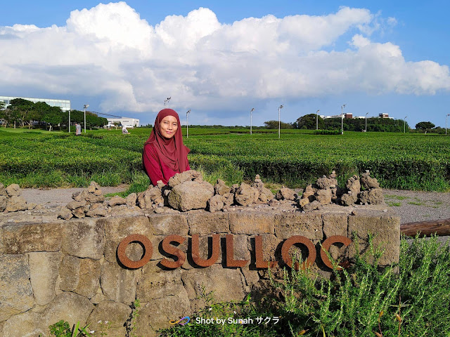 Osulloc Tea Museum, Pusat Perusahaan Teh Asli Jeju Island