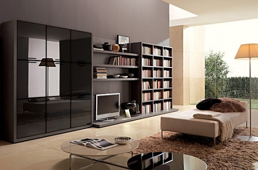 Wall storage for living room decoration