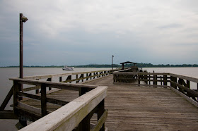 Fort Delaware Civil War Birds