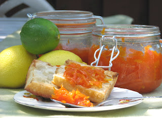 http://itineraires-gourmands.blogspot.ca/2009/08/marmelade-surprise-ensoleillee_13.html