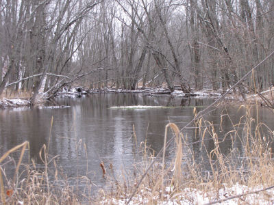 creek into Pere Marquette River