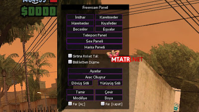 MTA SA Freeroam Panel