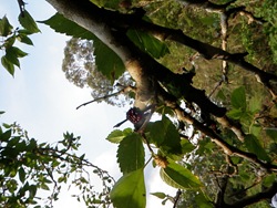 FS Radicão 9 (211)
